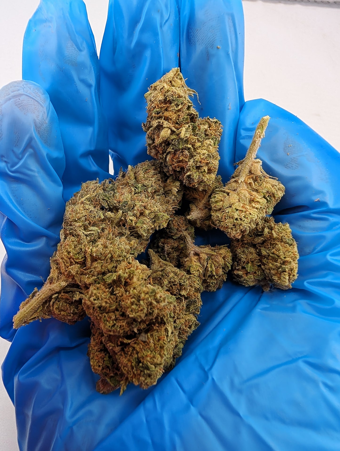 THCA Flower- Face Off OG