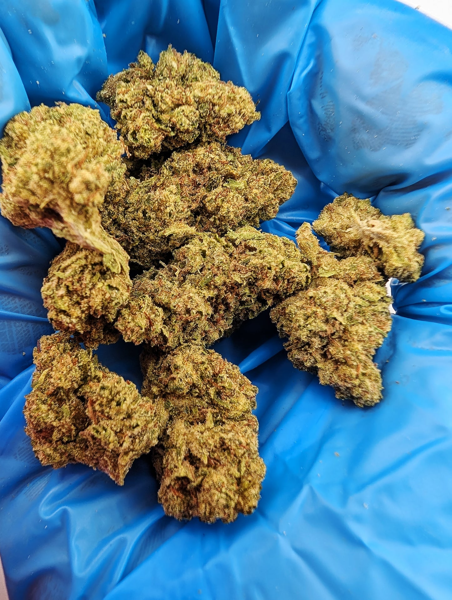 THCA Flower- Triple OG
