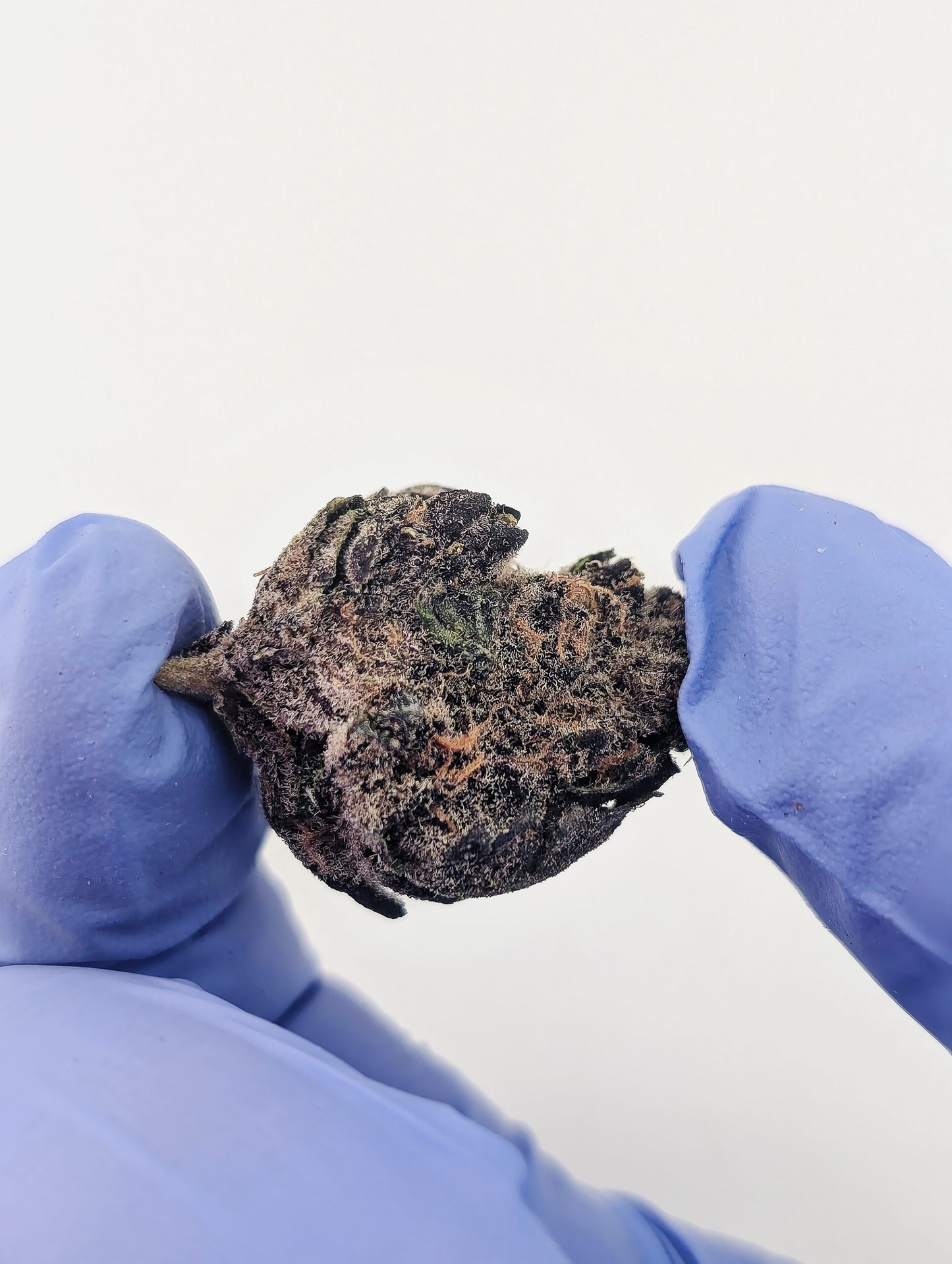 THCA Flower-Blockberry AKA Super Boof