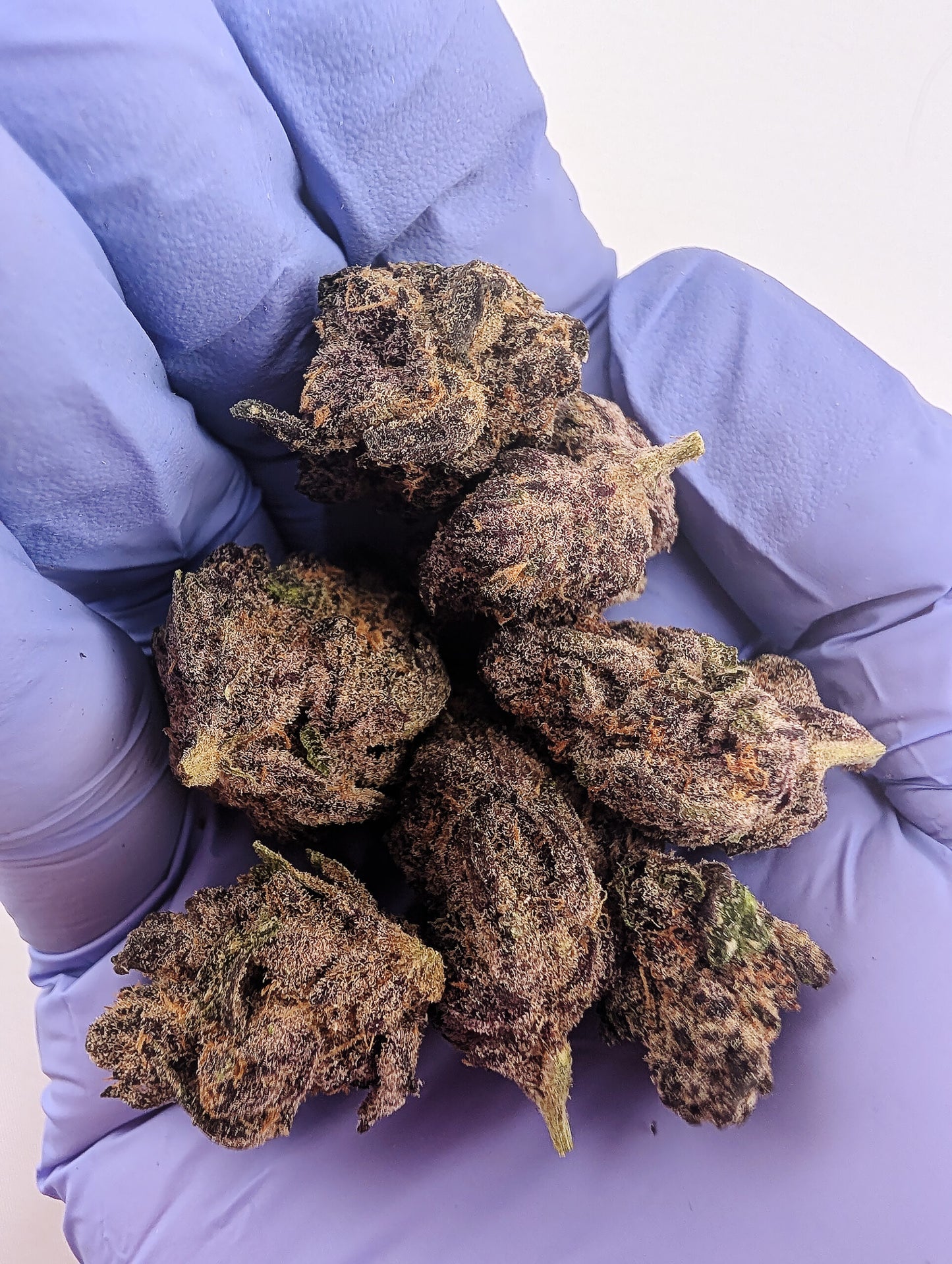 THCA Flower-Blockberry AKA Super Boof