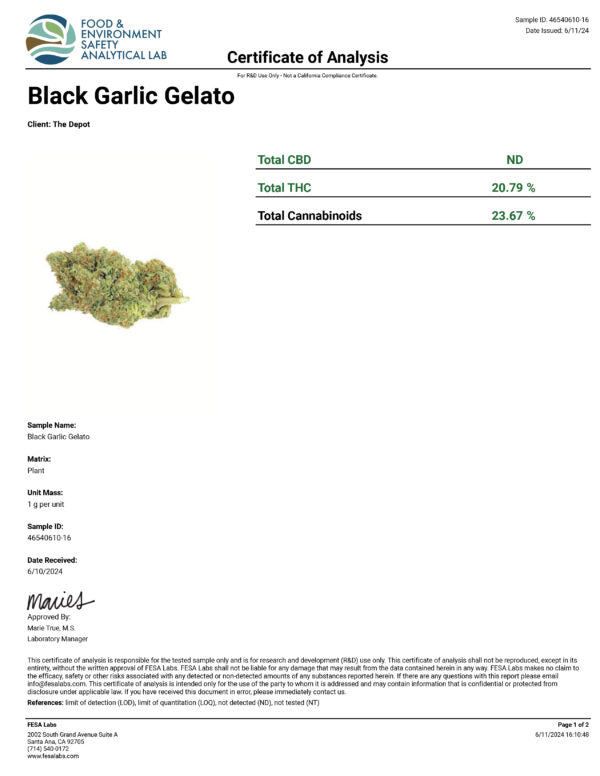 THCA Flower- Black Garlic Gelato