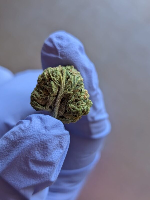 THCA Flower Smalls- Blueberry Punch