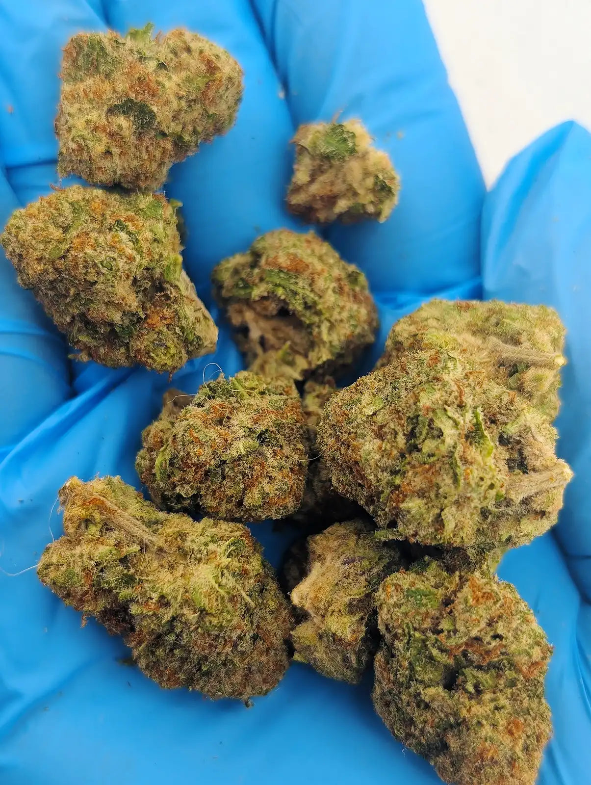 THCA Flower – Illemonati