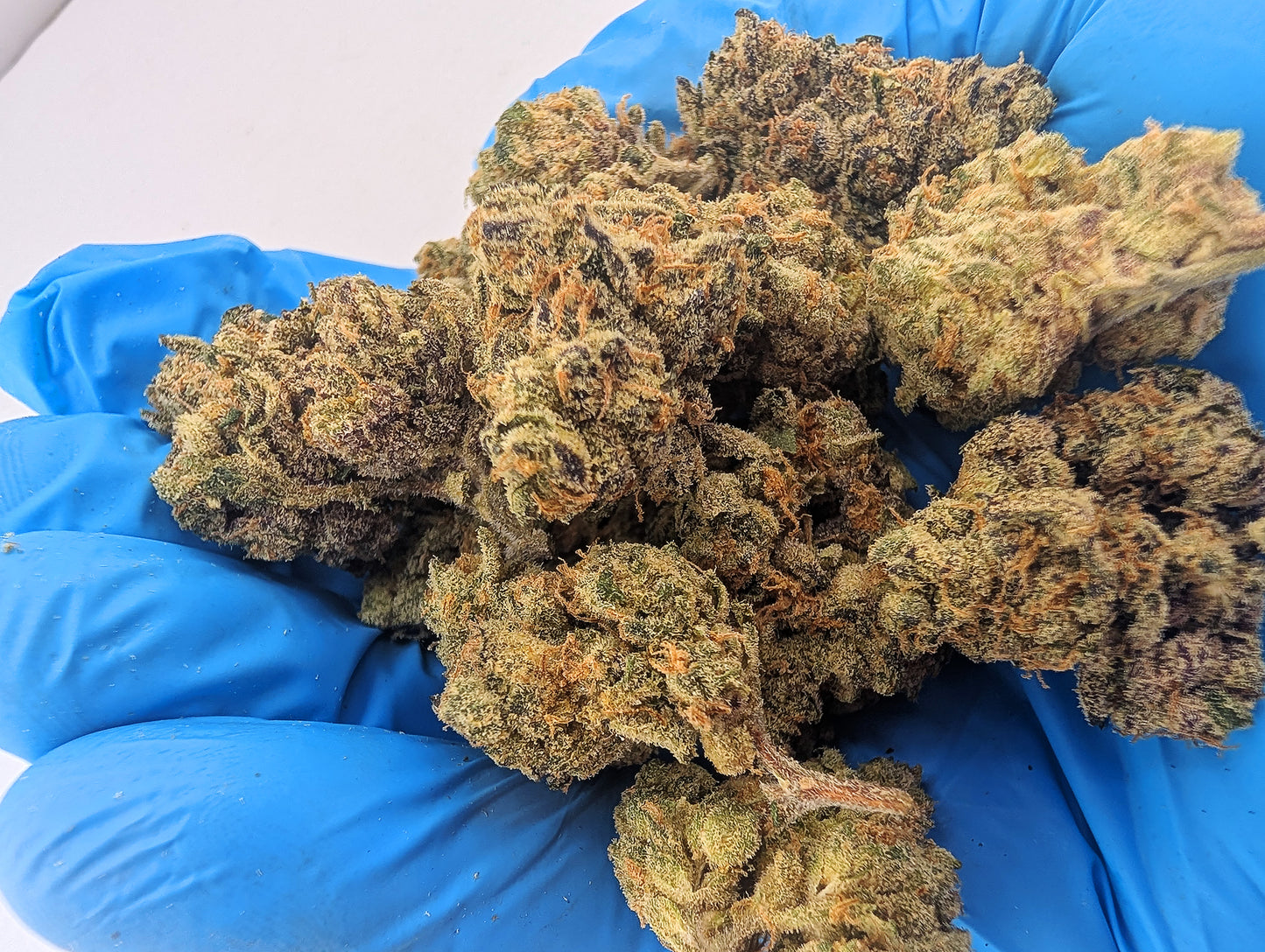 THCA Flower- Panama Red AAA