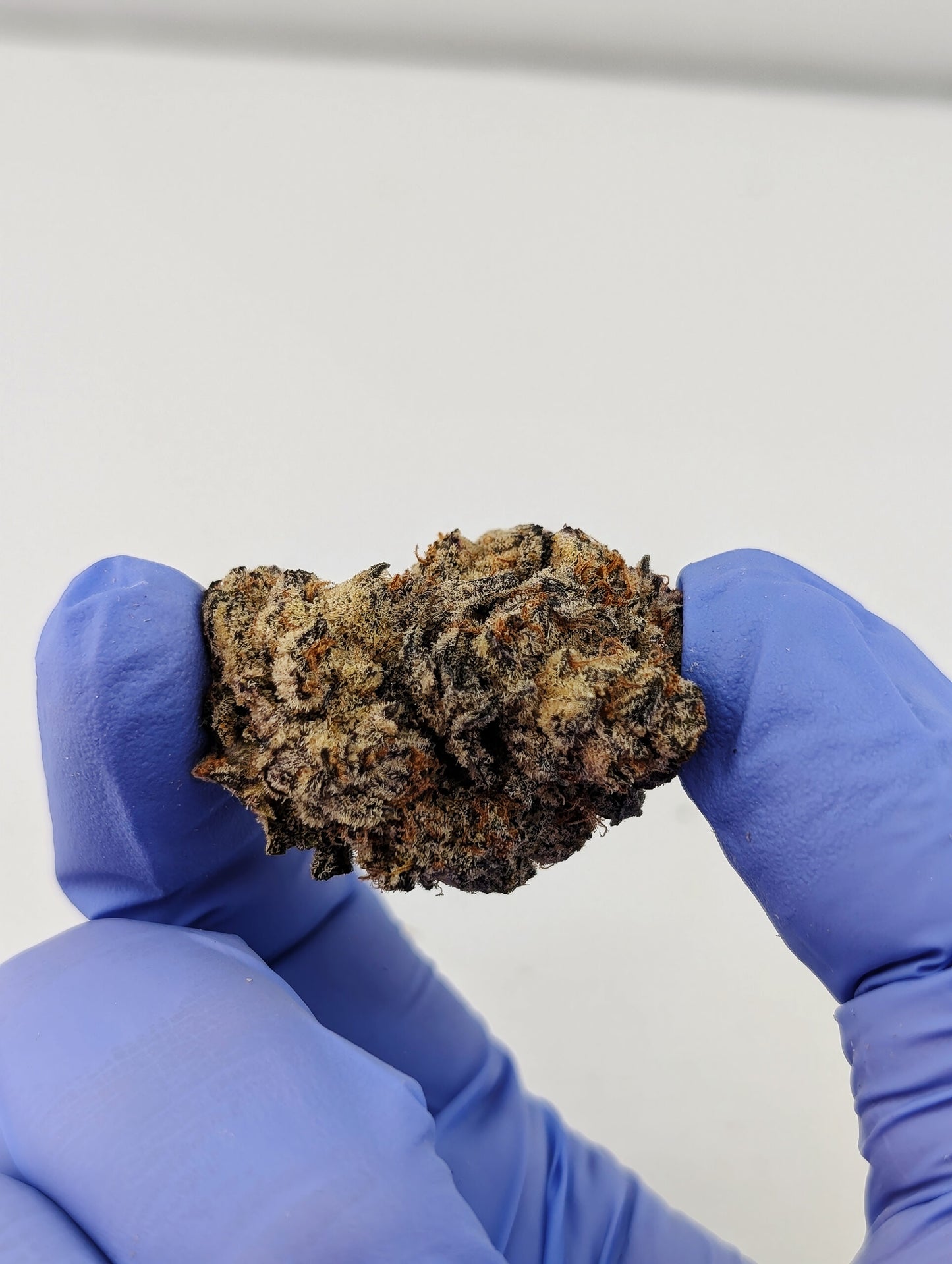 Exotic THCA Flower- Purple Cream