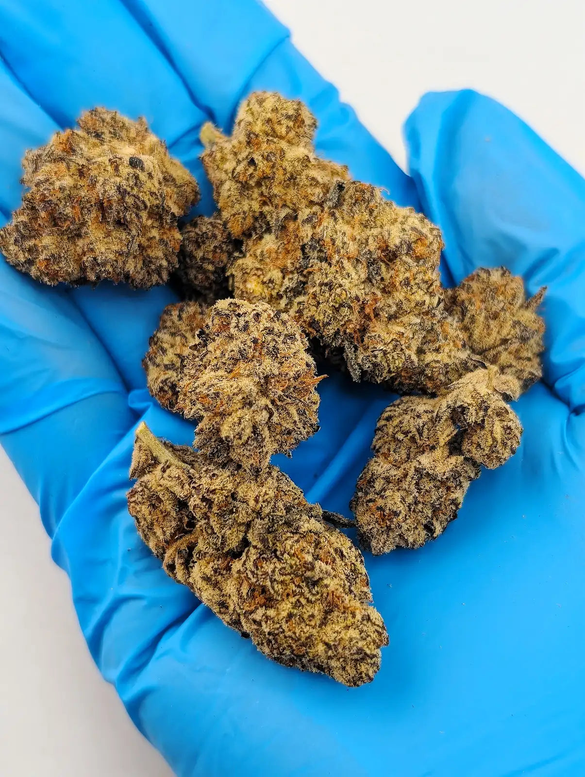 THCA Flower- Purple Cream