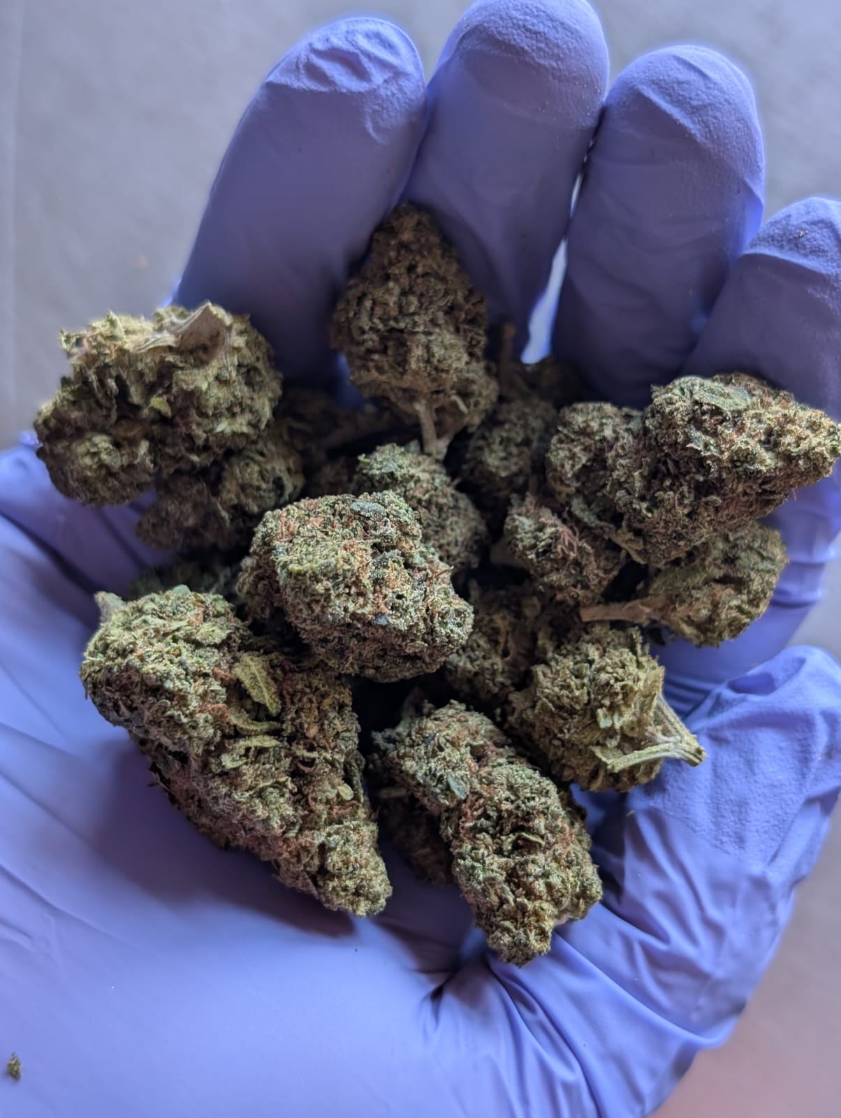 THCA Flower- Apple Tartz