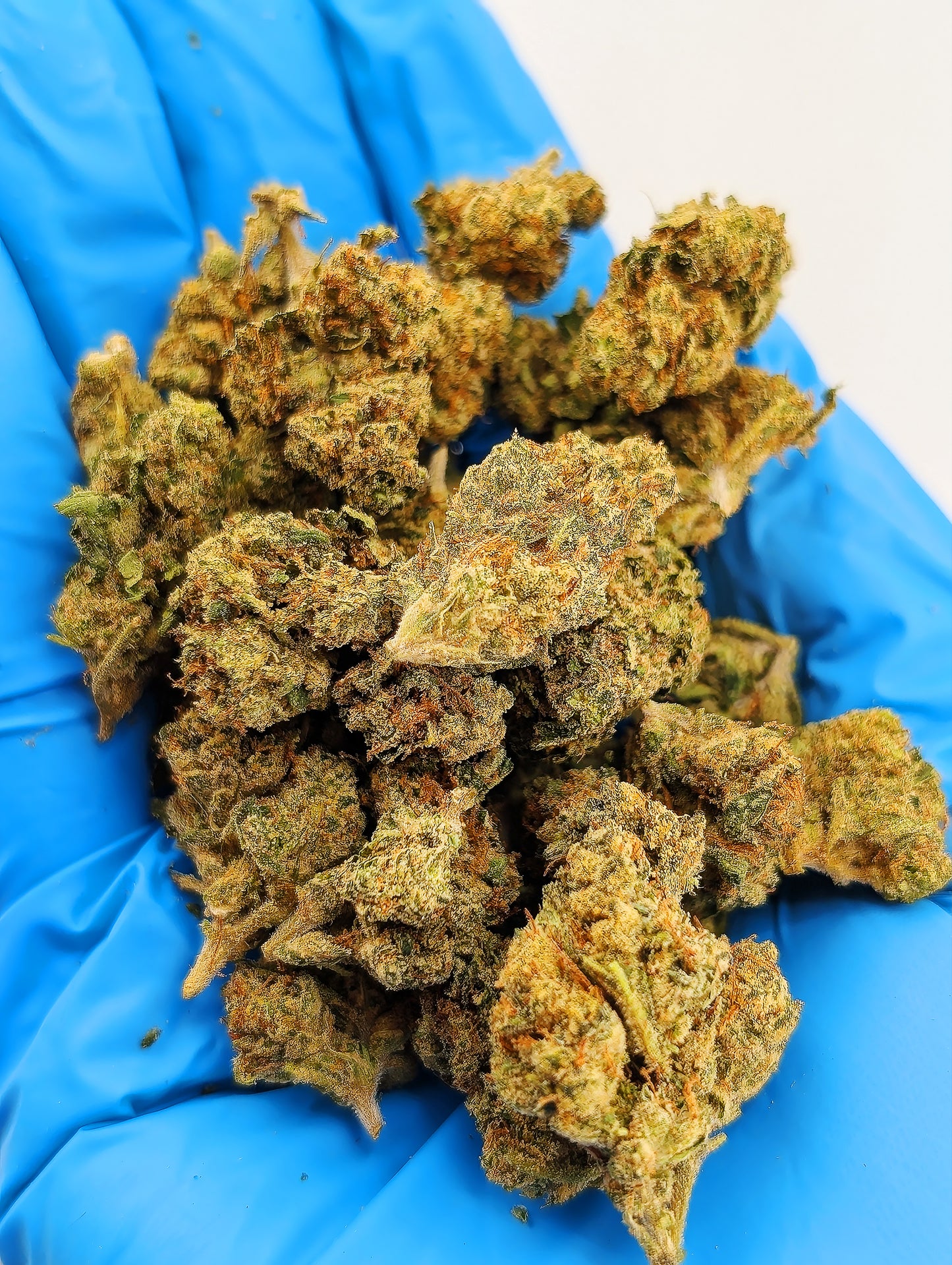 THCA Flower- Durban Cookies AAA