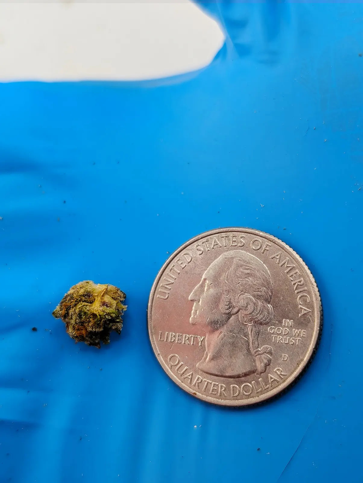 THCA Flower – Kept Secret
