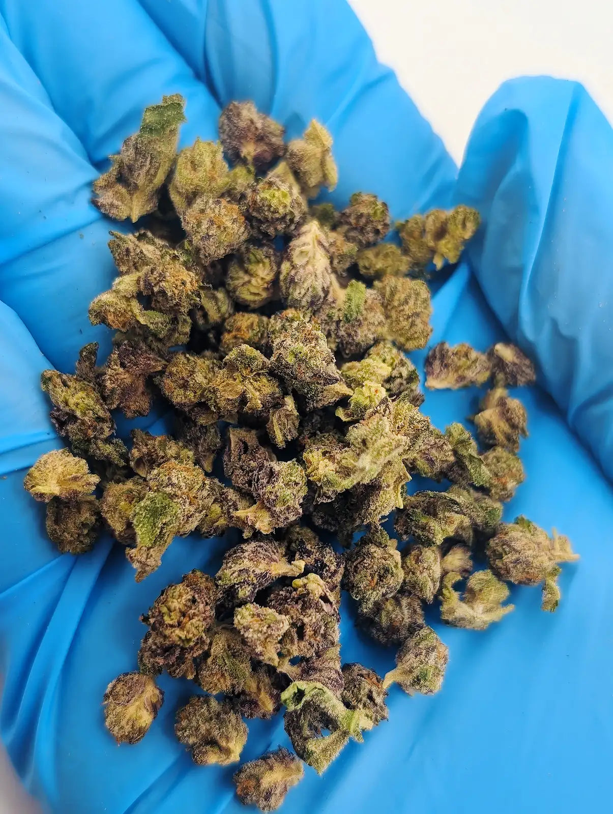 THCA Flower – Kept Secret
