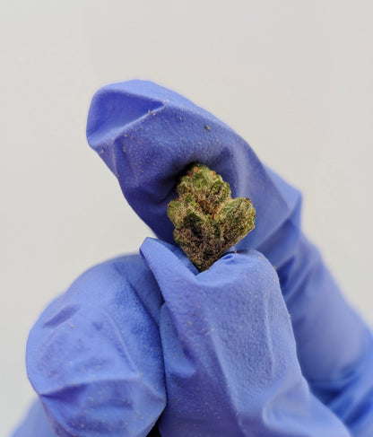 THCA Flower Smalls- Blue Crush