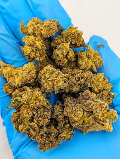 THCA Flower- Glitter Bomb