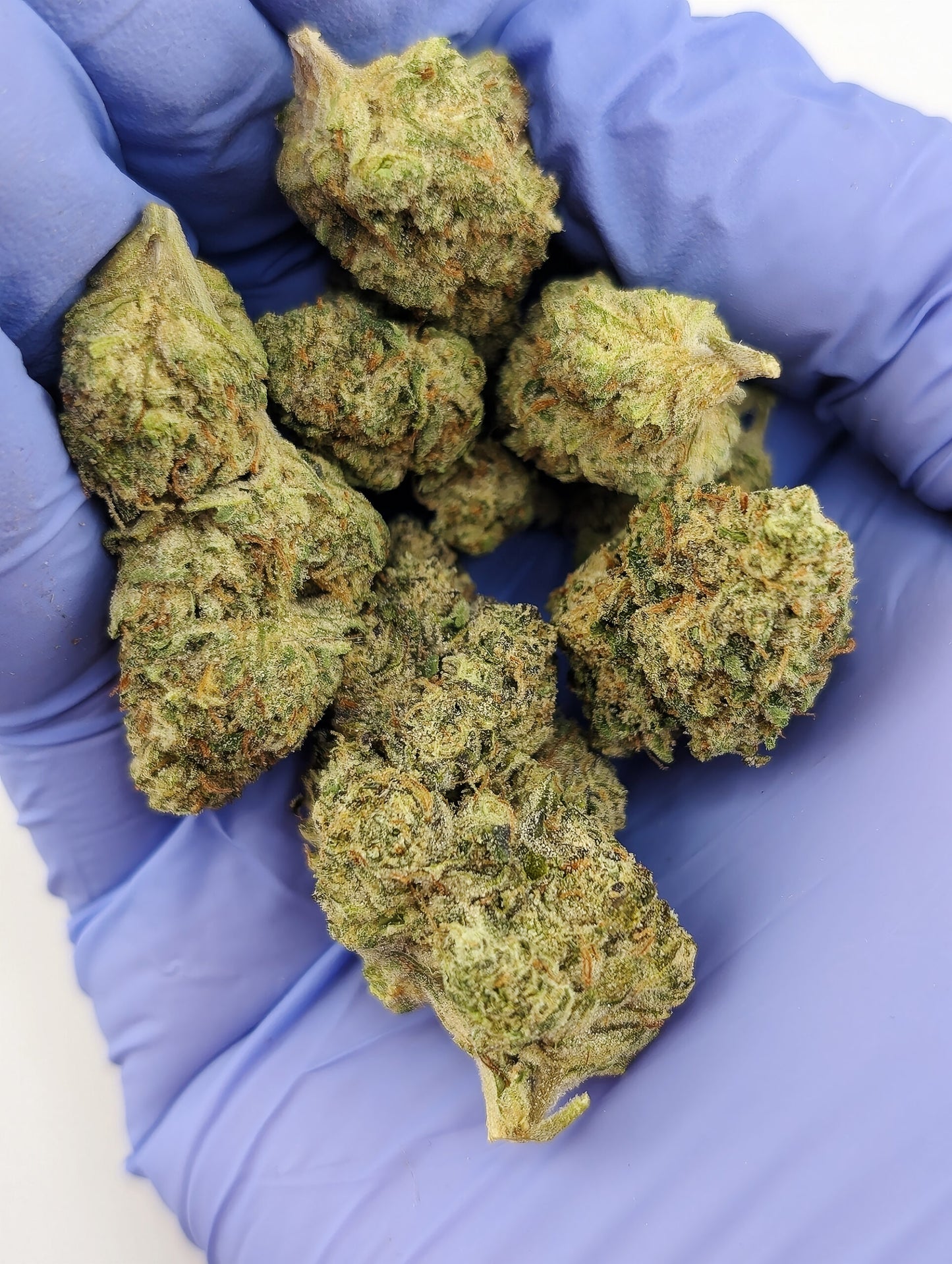 Exotic THCA Flower-Garlic Cookies AKA GMO