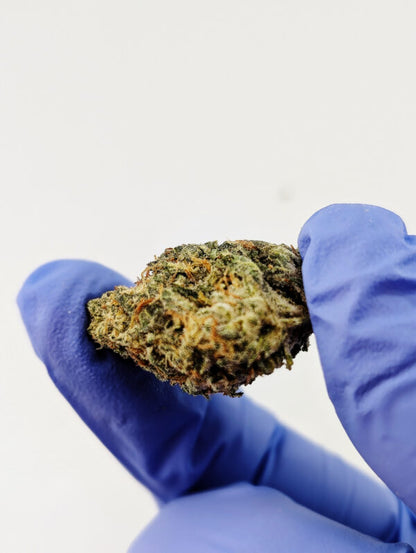 Exotic THCA Flower-Garlic Cookies AKA GMO