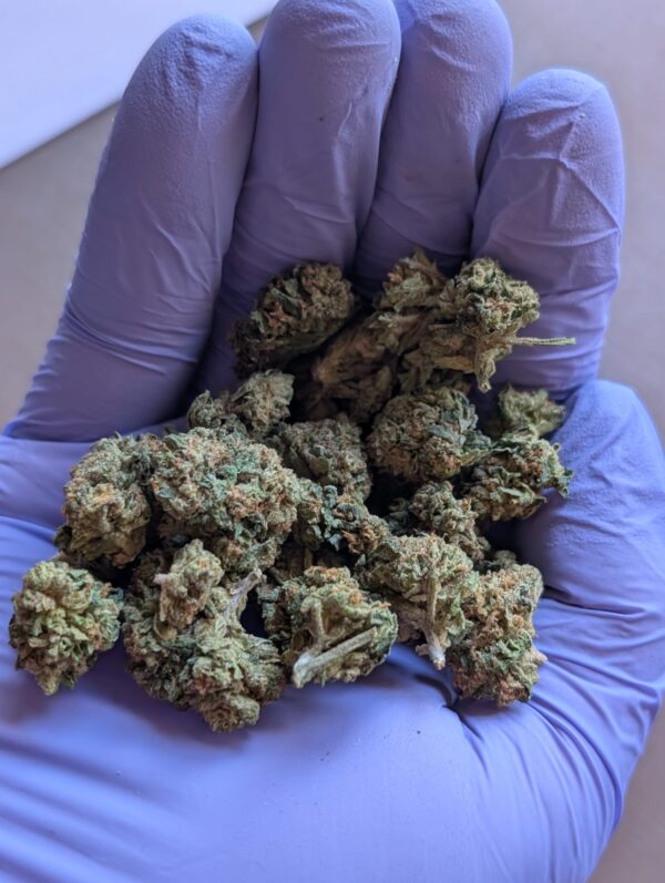 THCA Flower Smalls- Gelatti