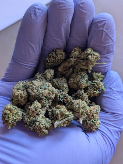 THCA Flower Smalls- Gelatti