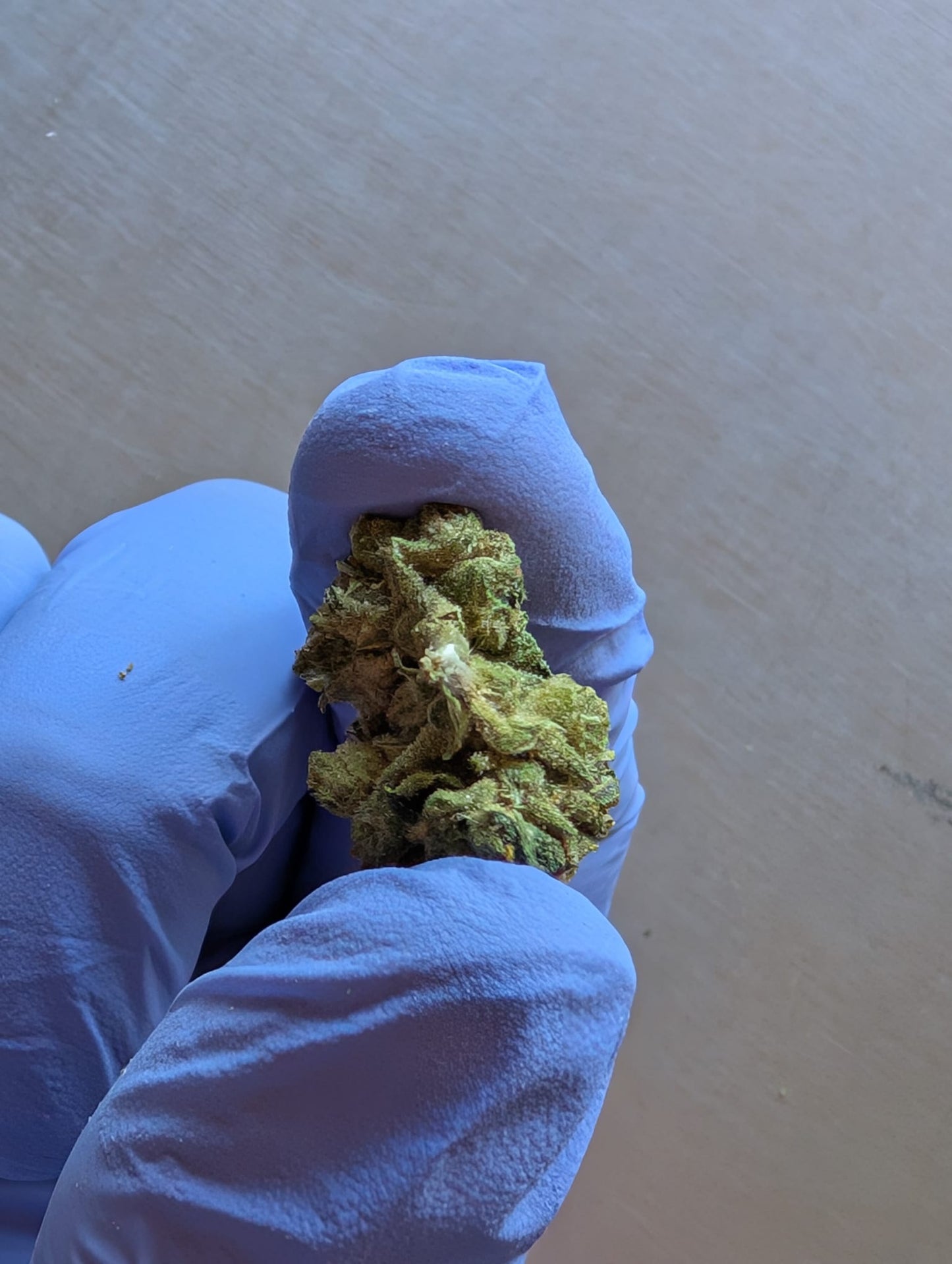 THCA Flower Smalls- Gelatti