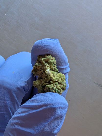 THCA Flower Smalls- Gelatti