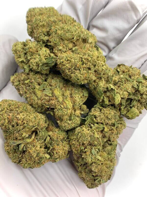 THCA 8ths Sampler Pack