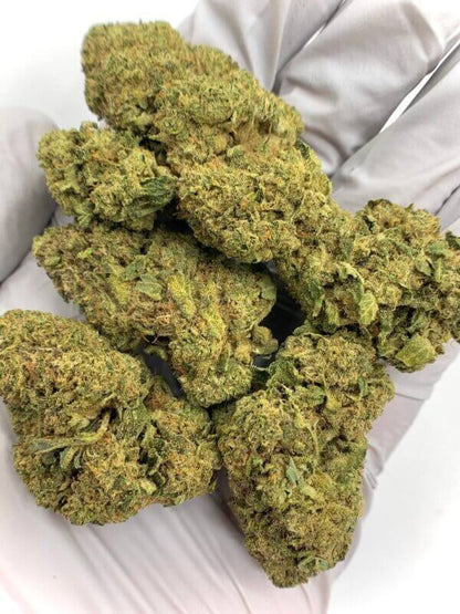 THCA 8ths Sampler Pack