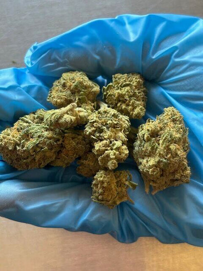 THCA 8ths Sampler Pack