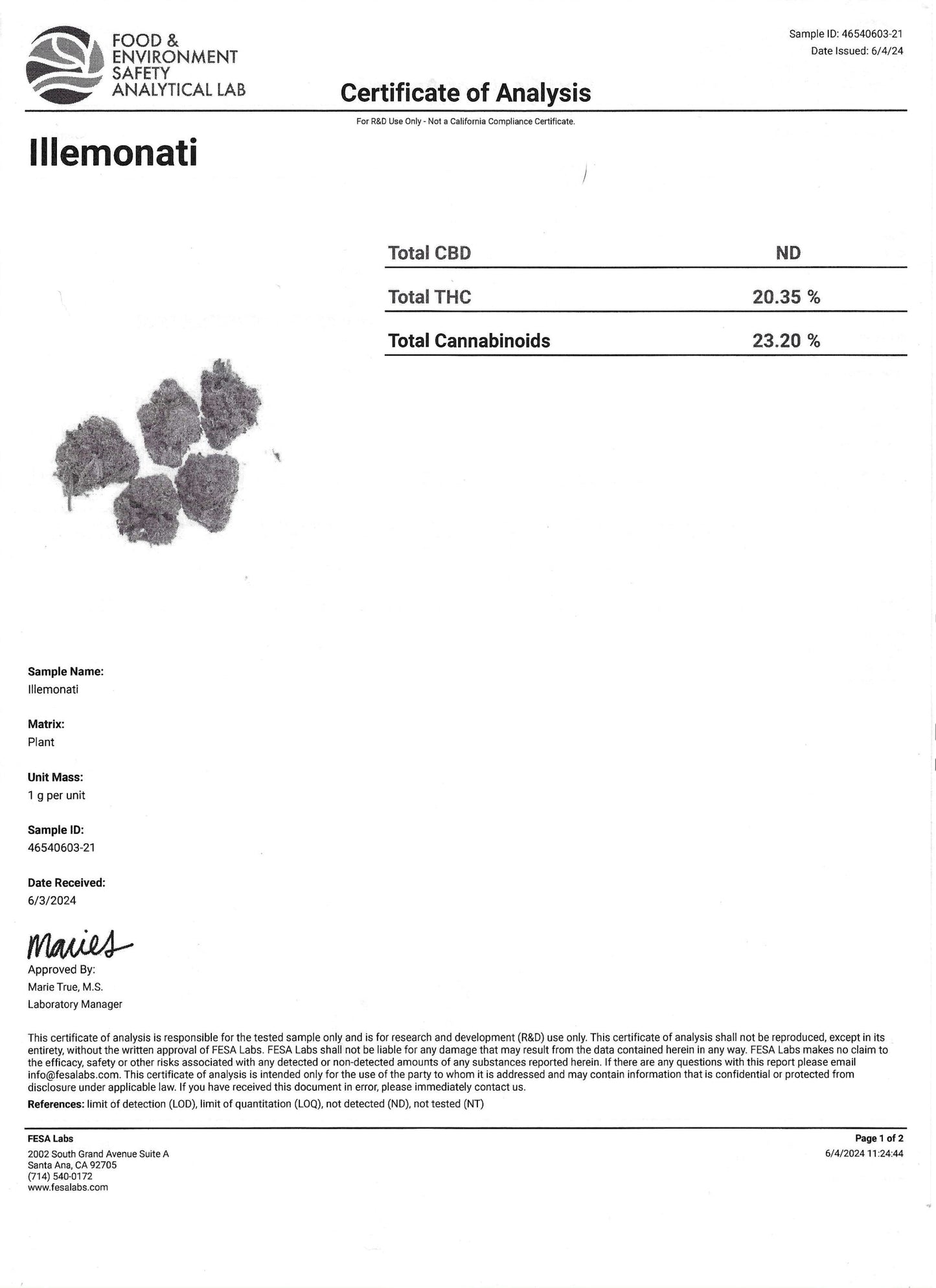 THCA Flower Smalls- Illemonati