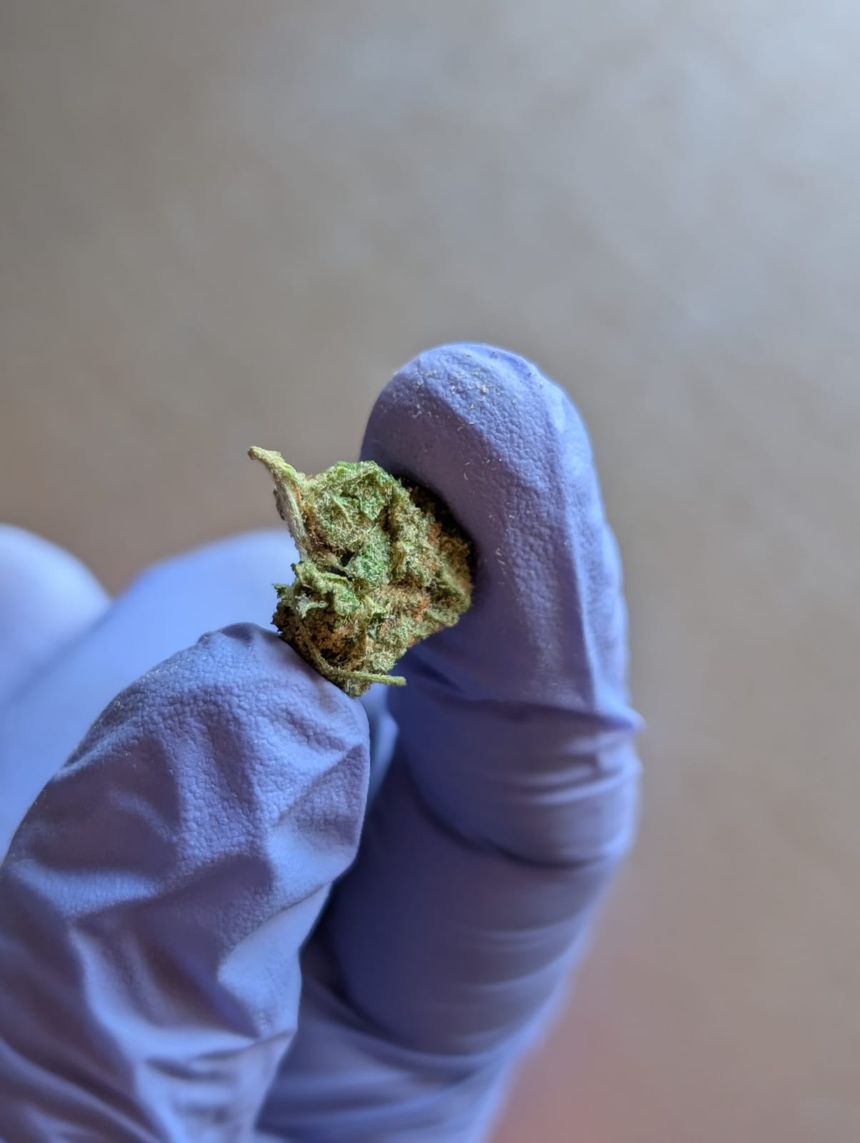 THCA Flower Smalls- Illemonati