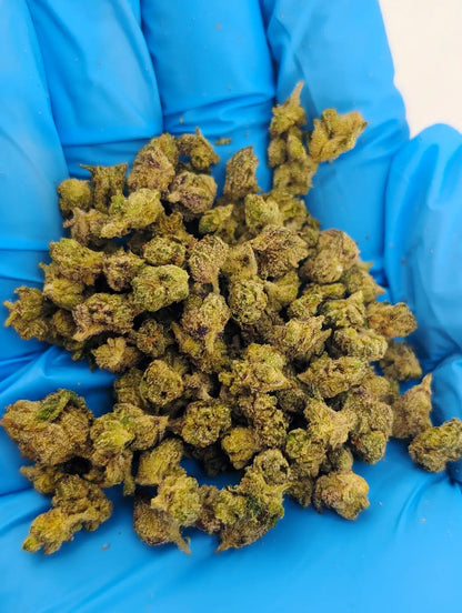 THCA Flower – Lemon Cherry Gelato (Micro Smalls)
