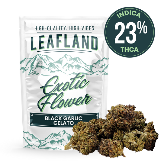 THCA Flower- Black Garlic Gelato