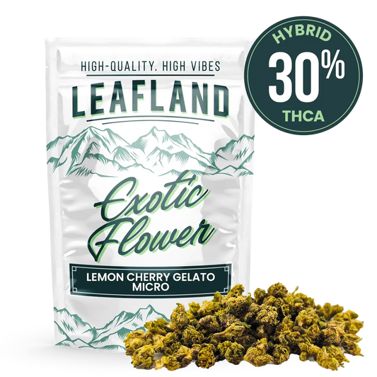 THCA Flower – Lemon Cherry Gelato (Micro Smalls)