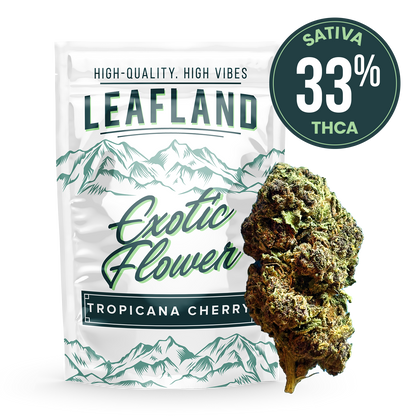 THCA Flower- Tropicana Cherry