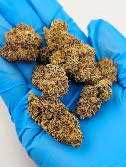 THCA Flower- Purple Cream