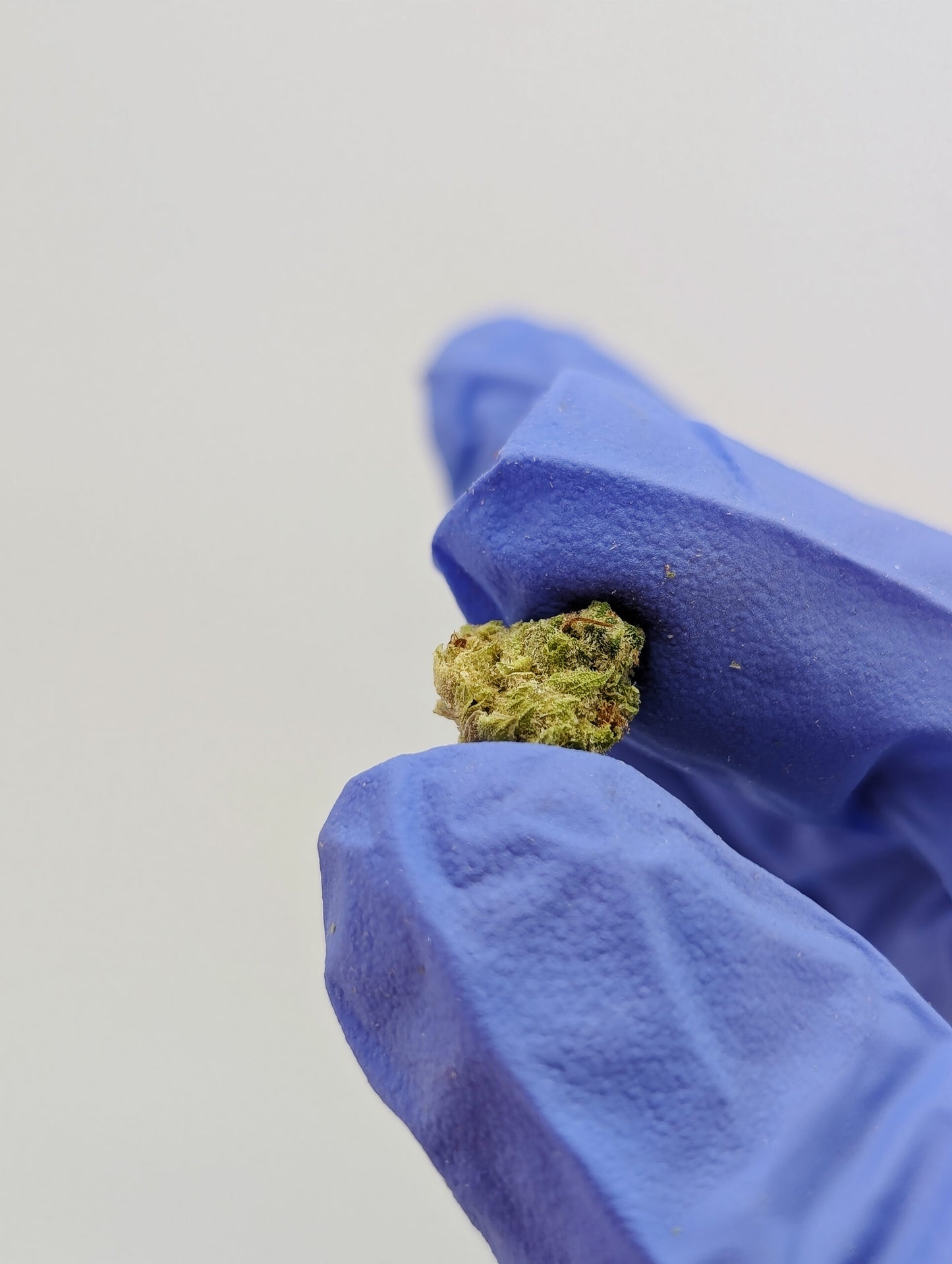 THCA Flower Smalls- Tally Man