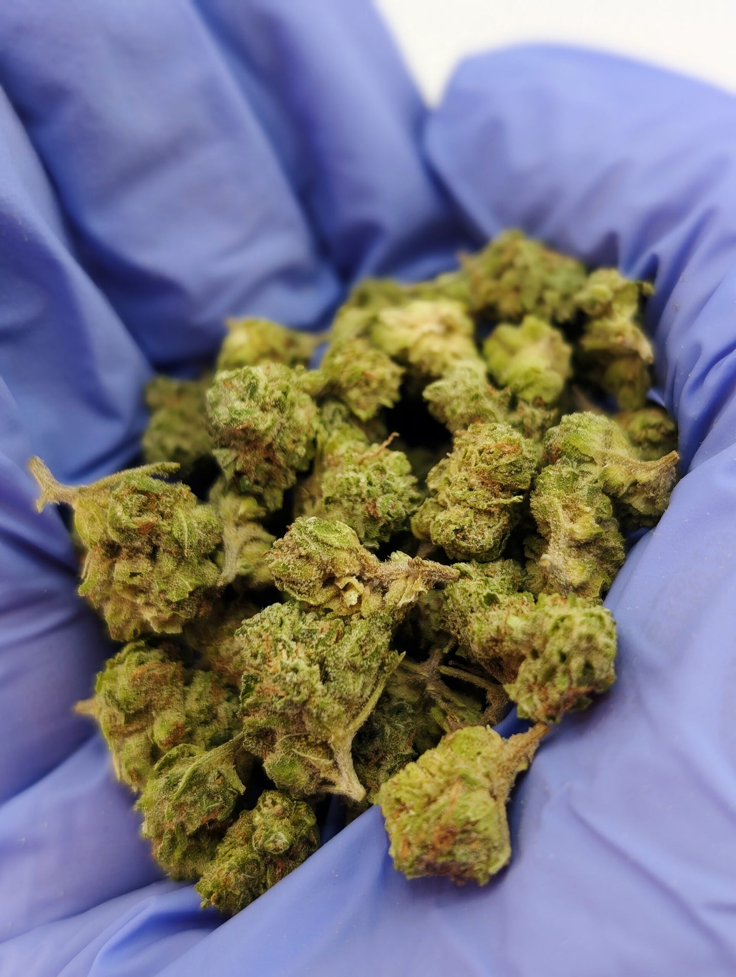 THCA Flower Smalls- Tally Man