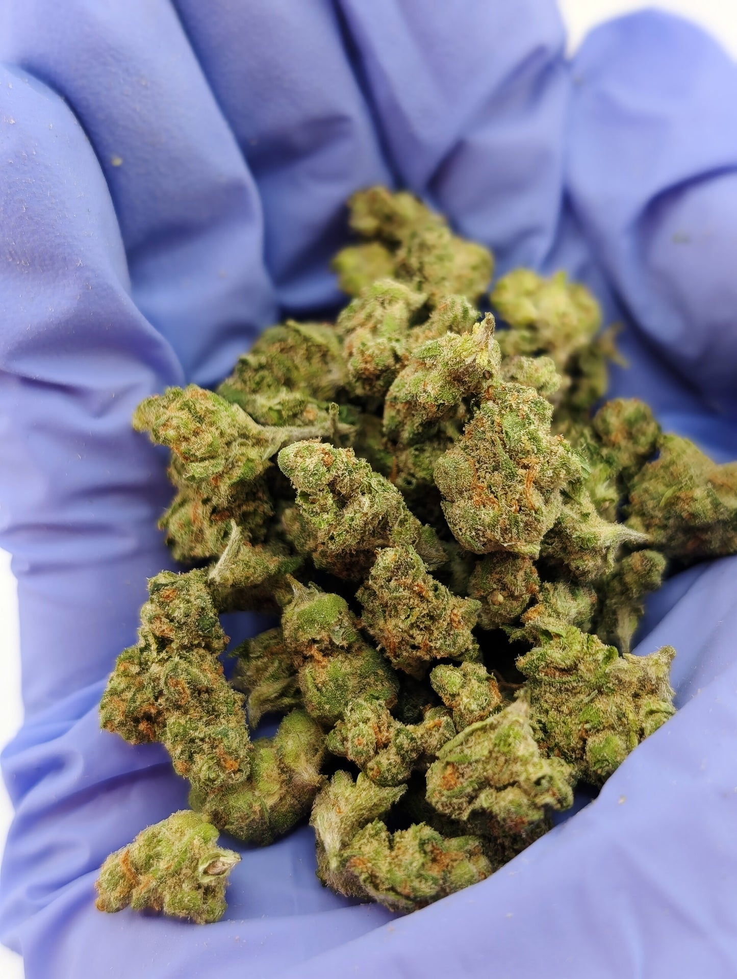 THCA Flower Smalls- XJ-13