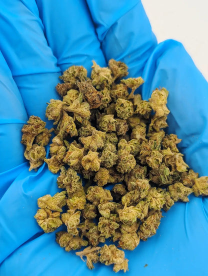 THCA Flower – Animal Cocktail (Micro Smalls)