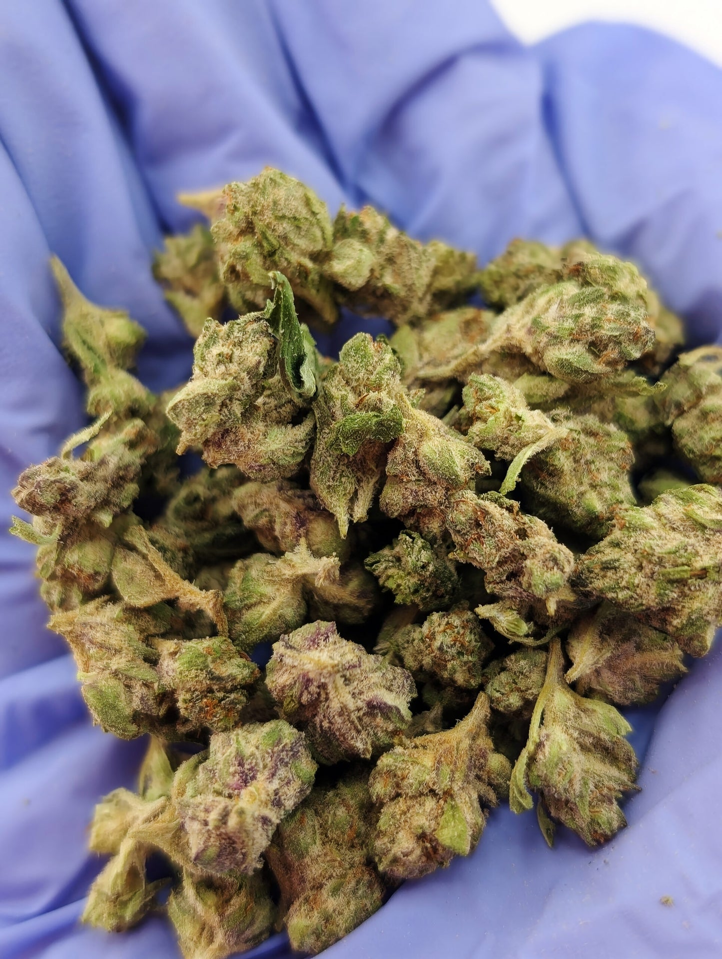 THCA Flower Smalls- Blue Crush