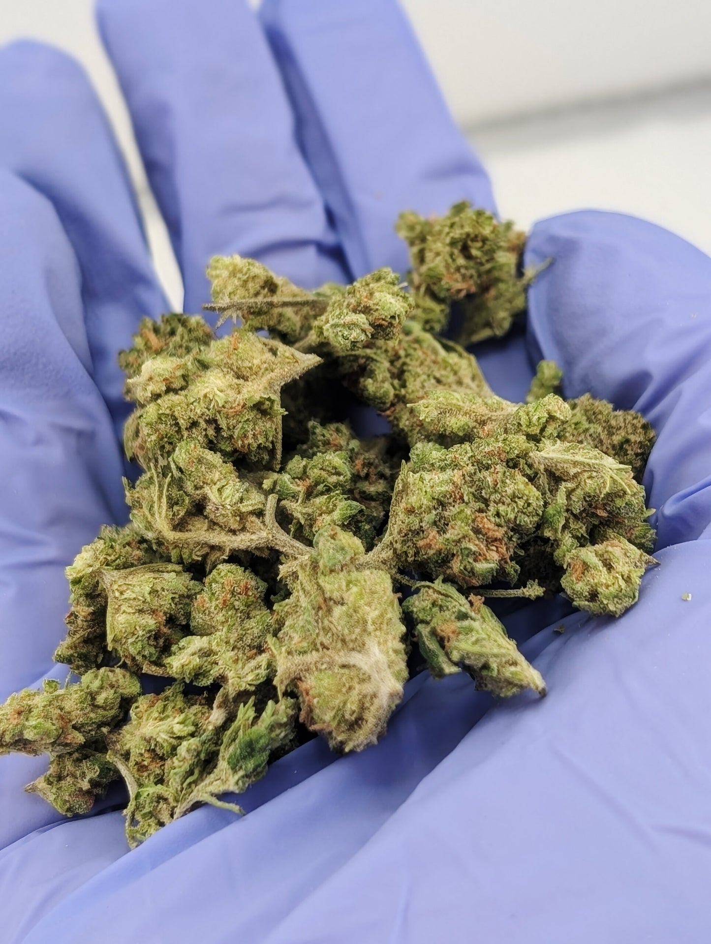 THCA Flower Smalls- Blue Dream