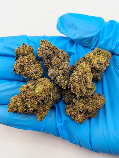 THCA Flower - Candy Gelato