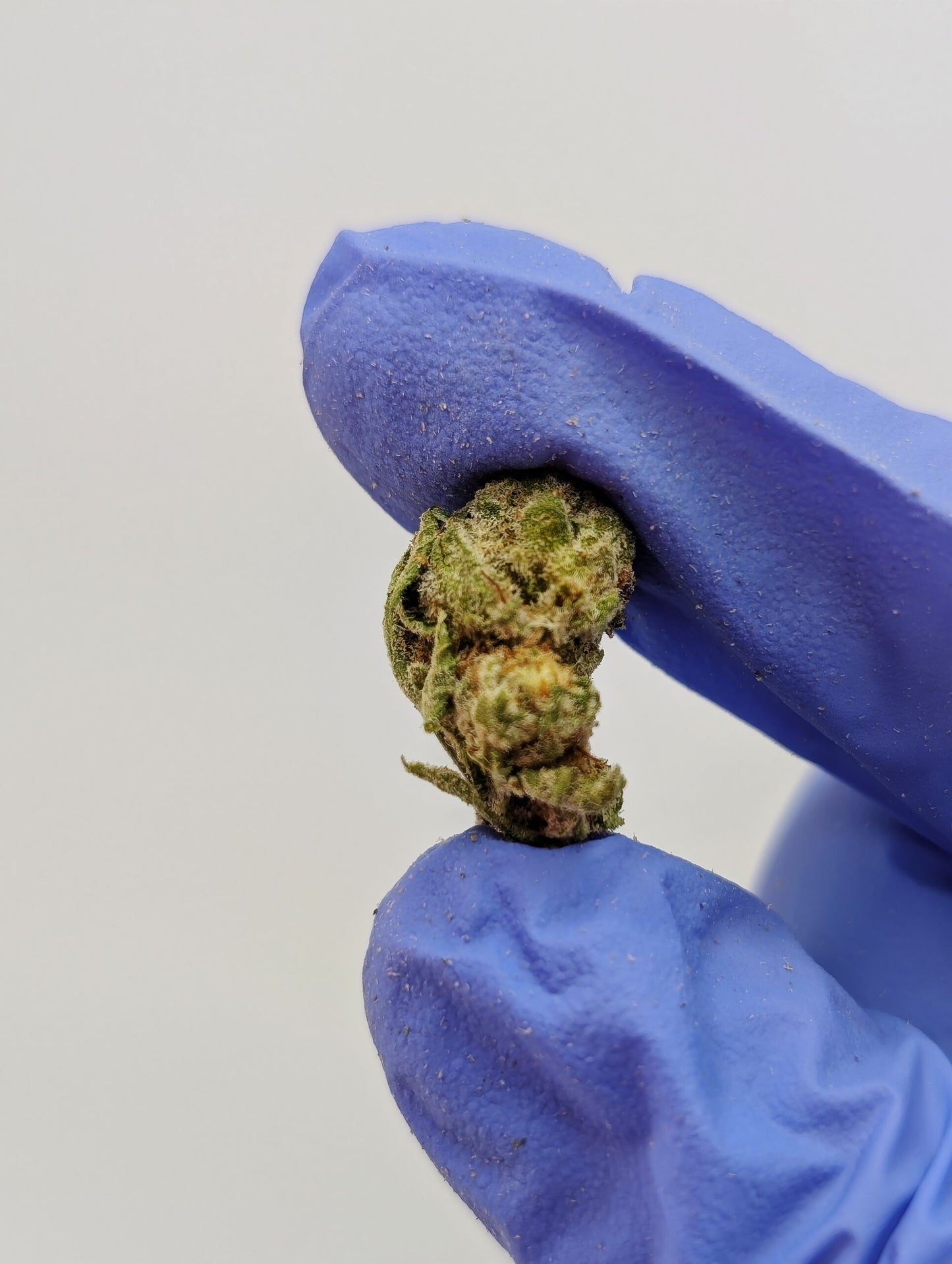 THCA Flower Smalls- Jealousy