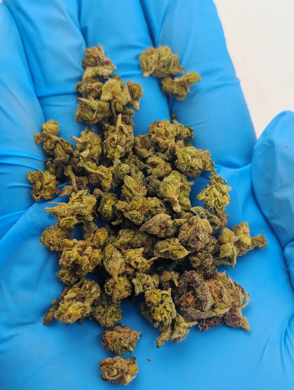 THCA Flower – LCG x Permanent Marker (Micro Smalls)