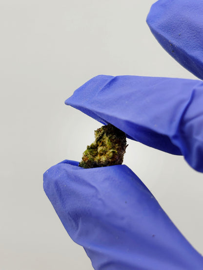 THCA Flower Smalls- Pablo’s Revenge