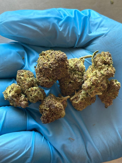 THCA Flower- Tropicana Cherry